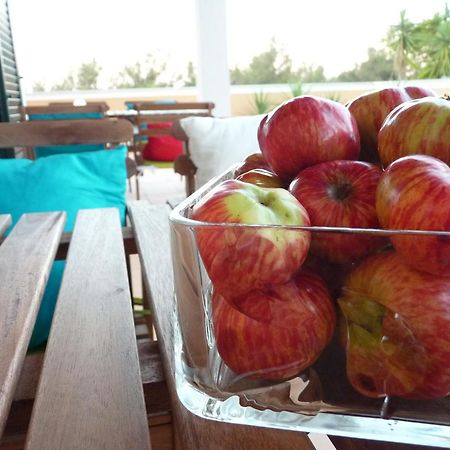 Casal Das Oliveiras Setúbal Eksteriør billede